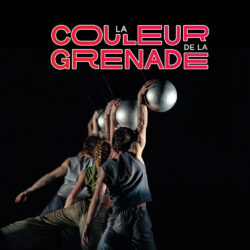 La Couleur de la grenade